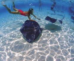 SwimmingUnderwater.jpg